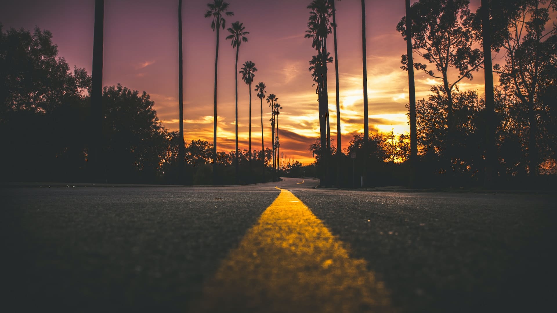 Road In City During Sunset