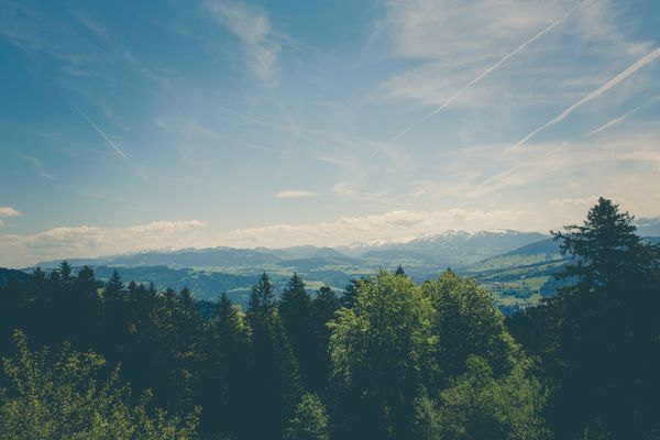 Green Trees Under Blue Sky